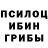 Псилоцибиновые грибы GOLDEN TEACHER Nic Des