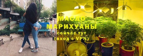 тгк Абаза