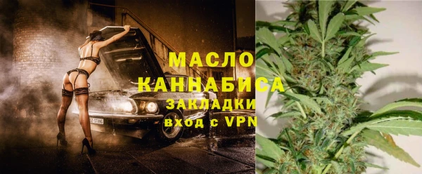 тгк Абаза