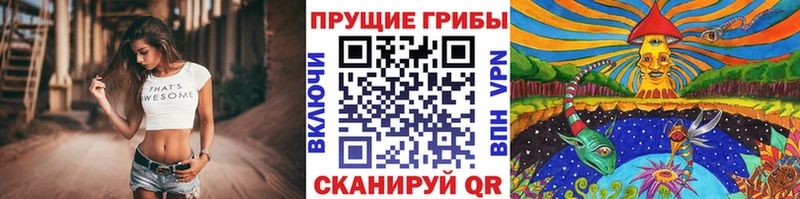 Псилоцибиновые грибы прущие грибы  Троицк 